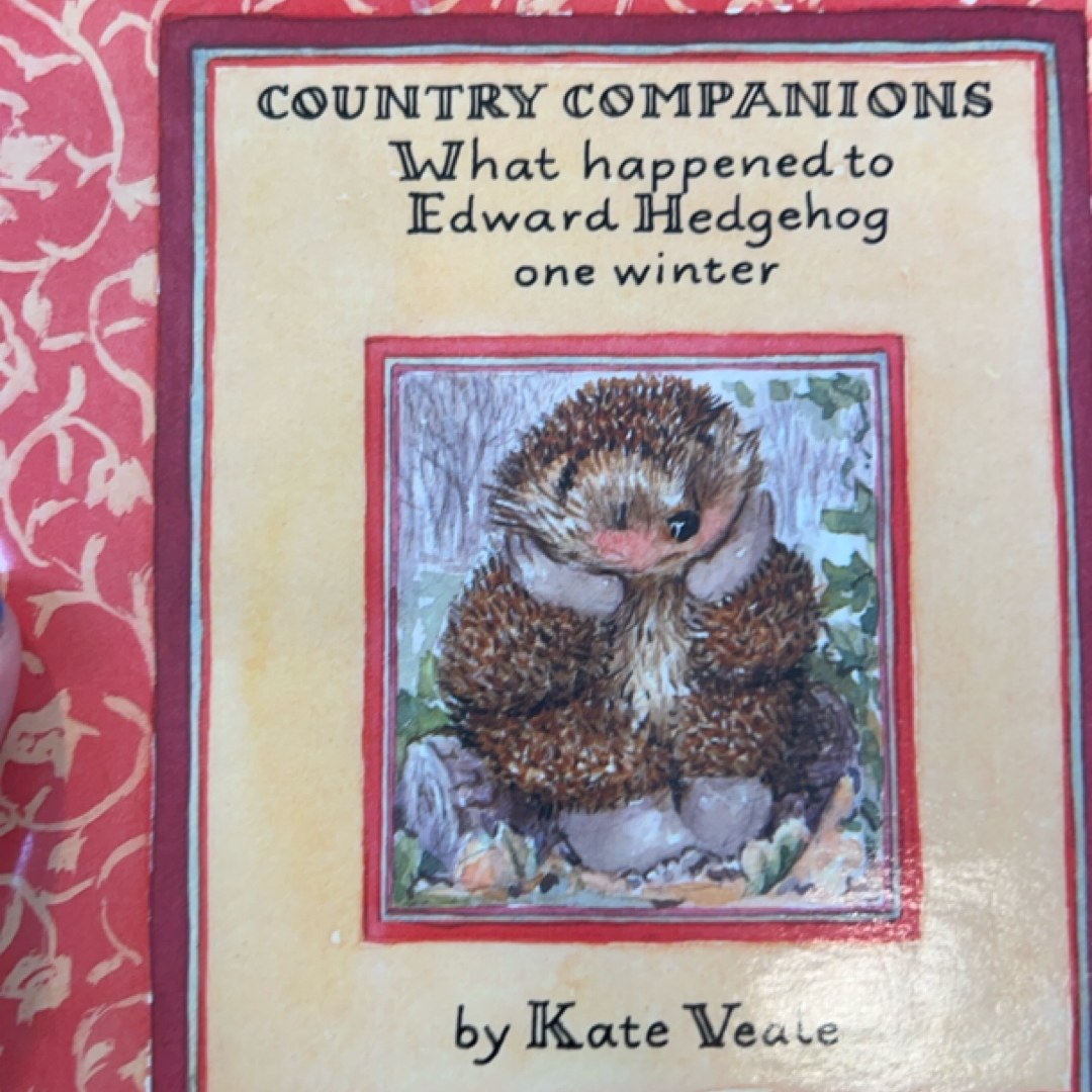 What Happened To Edward Hedgehog One Winter