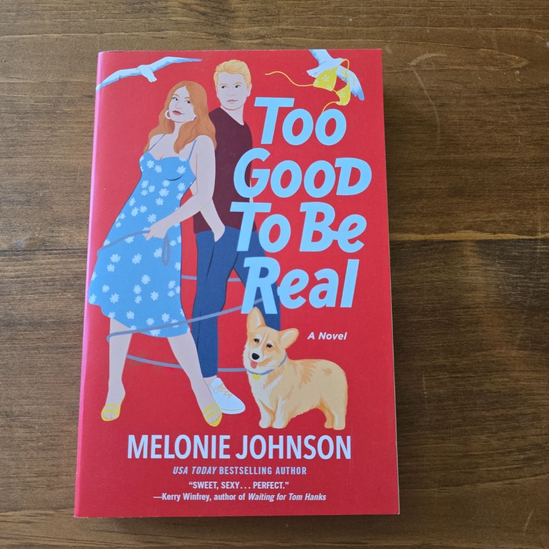 Too Good to Be Real