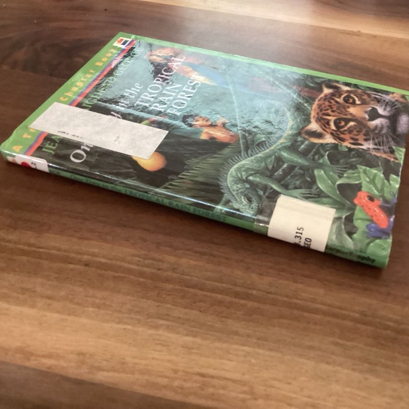 One Day in the Tropical Rain Forest