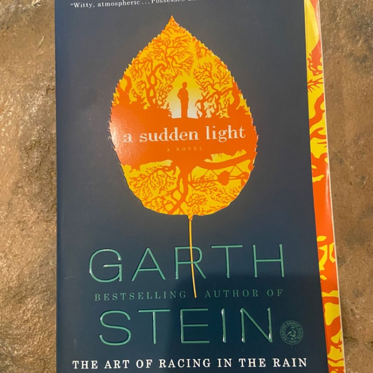 A Sudden Light by Garth Stein, Paperback | Pangobooks