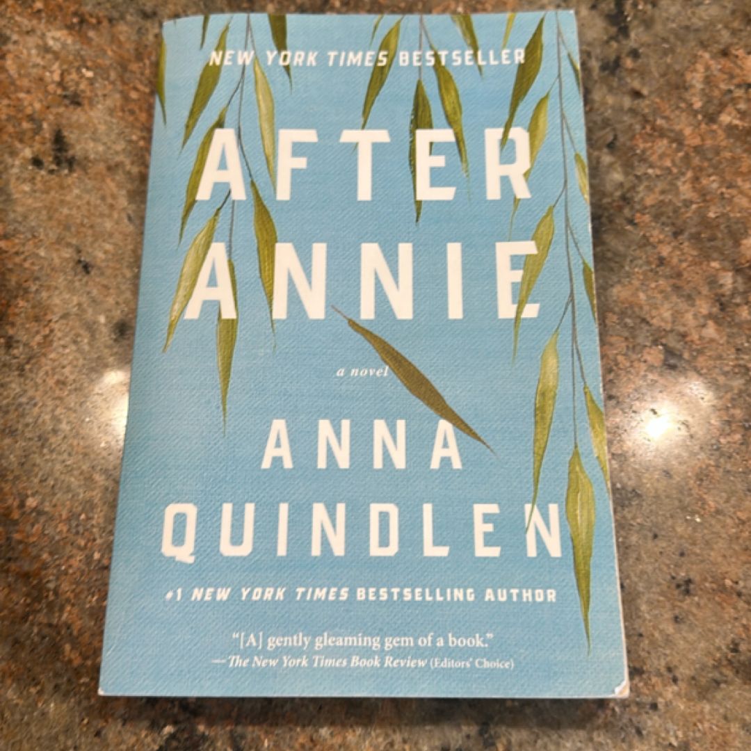 After Annie