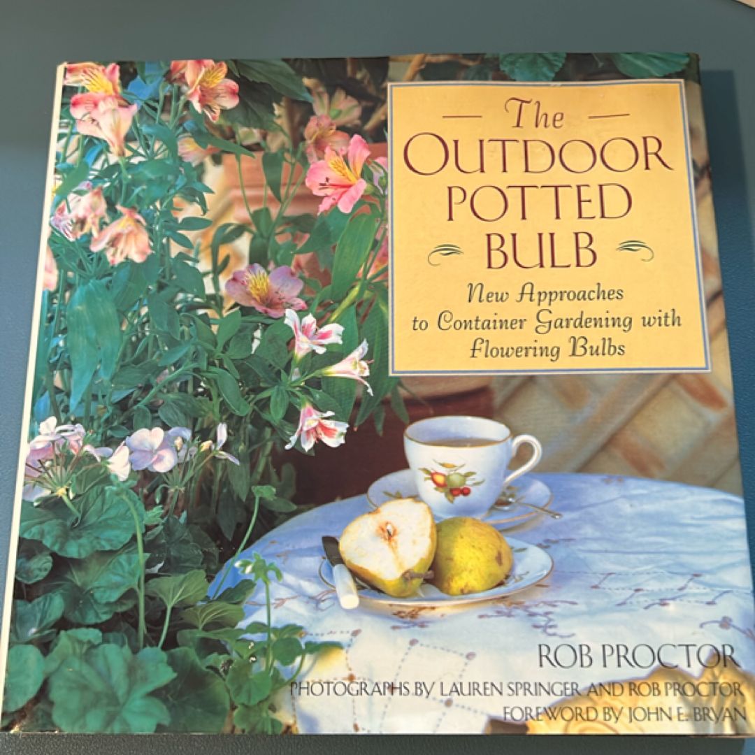 The Outdoor Potted Bulb