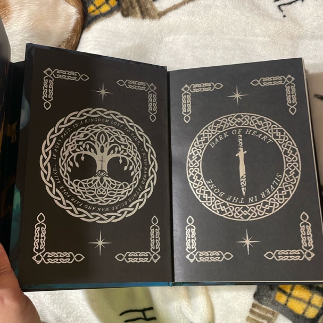 Owlcrate Silver in the Bone & The mirror of Beasts