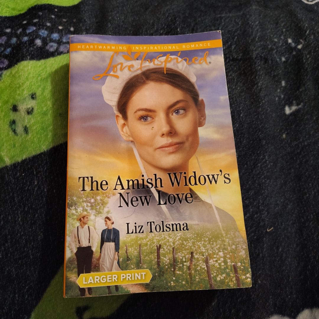 The Amish Widow's New Love