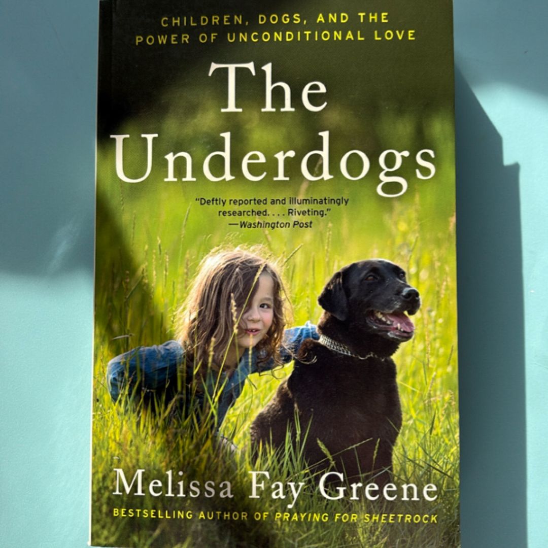 The Underdogs