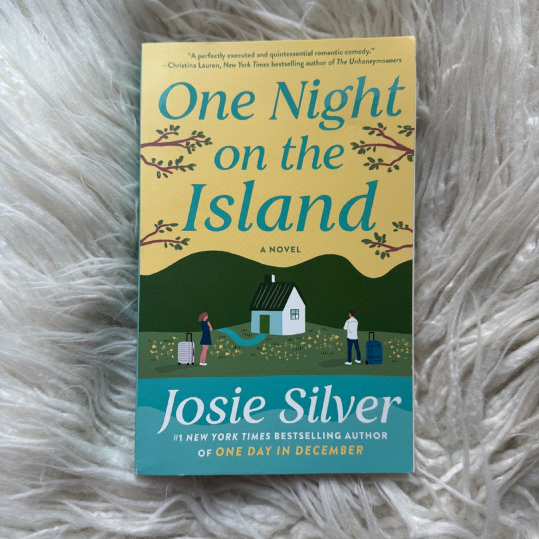 One Night on the Island