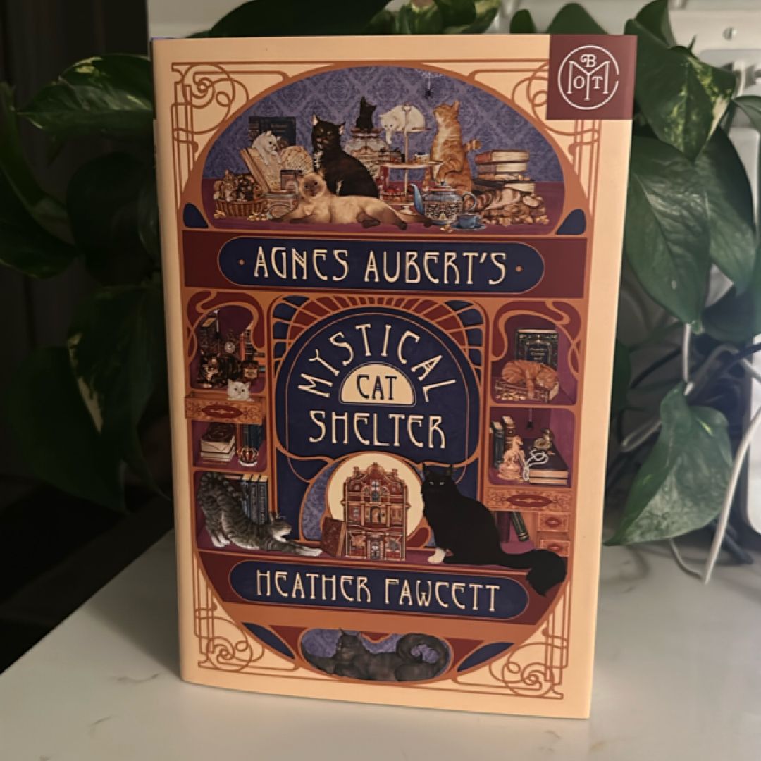 Agnes Aubert's Mystical Cat Shelter