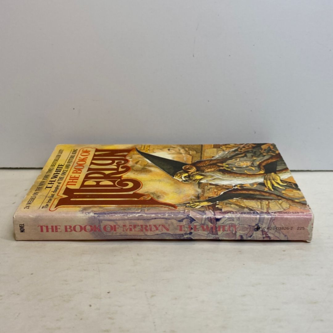 The Book of Merlyn
