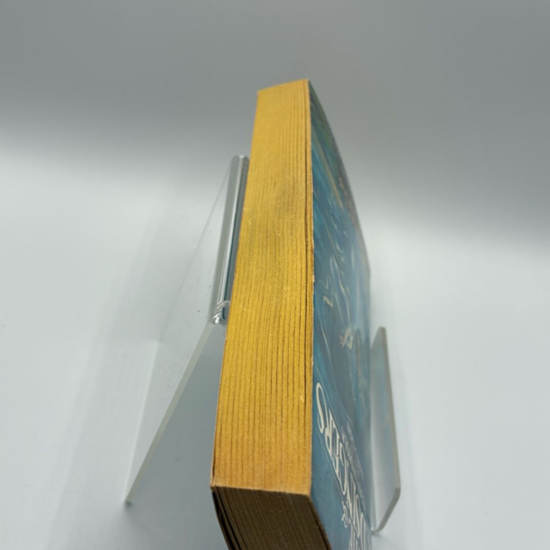 The Windsingers (1984)