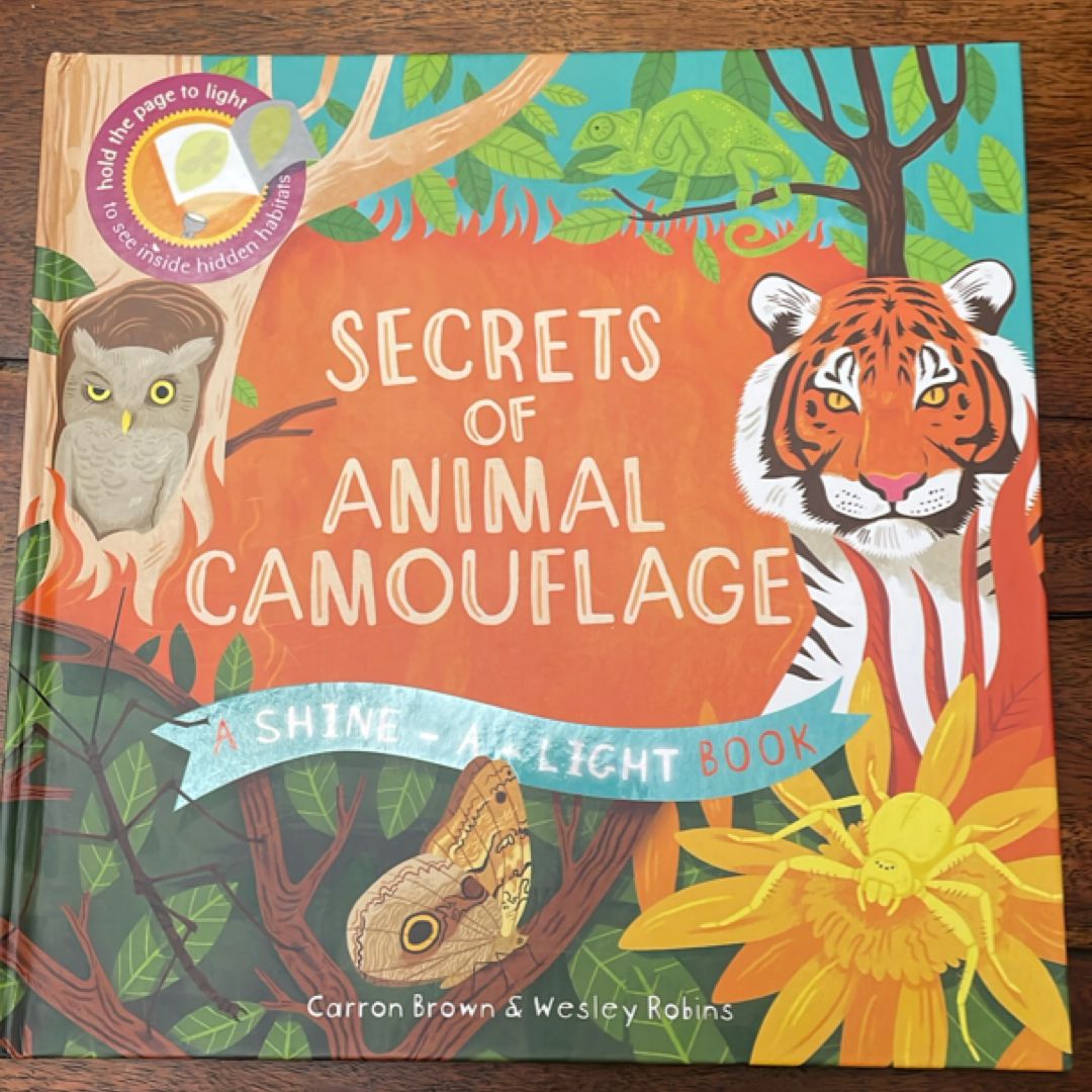 Secrets of Animal Camouflage