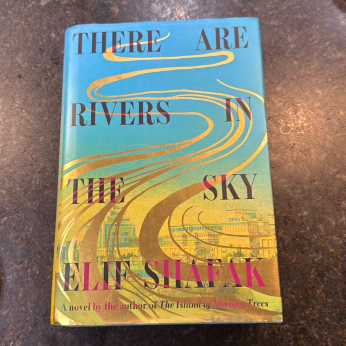 There Are Rivers in the Sky by Elif Shafak, Hardcover | Pangobooks