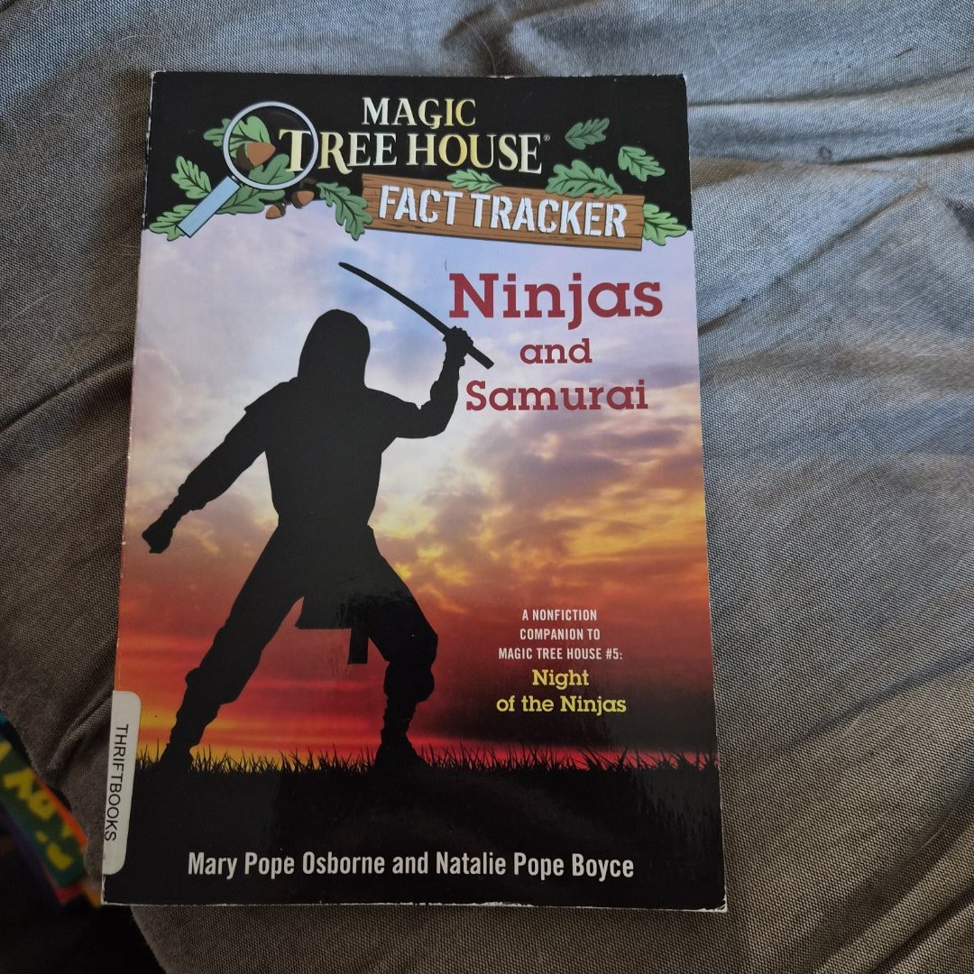 Ninjas and Samurai