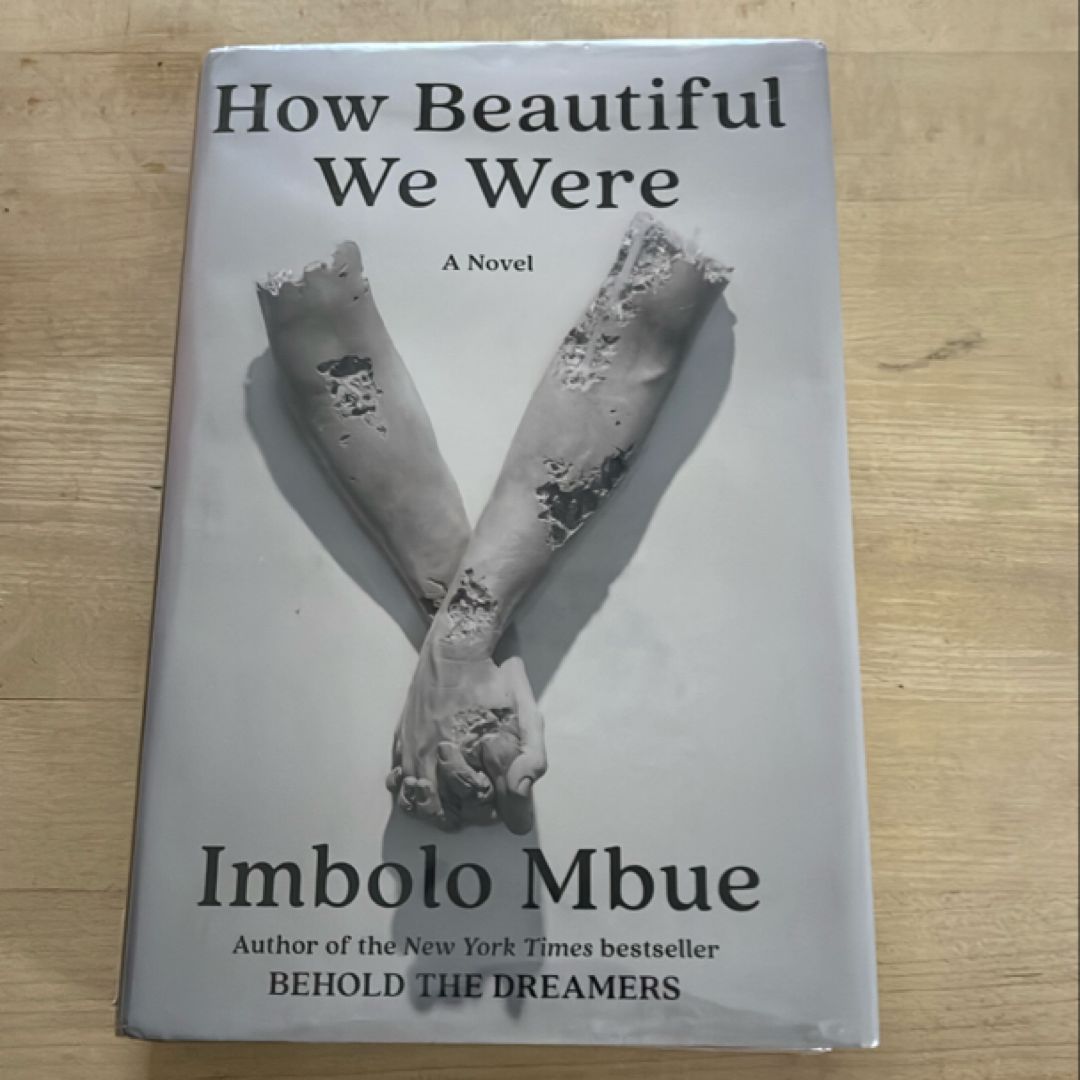 How Beautiful We Were