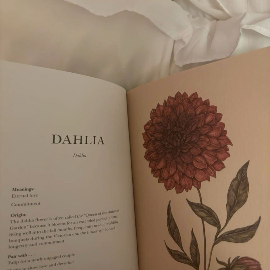 Dalia’s Blooming Books