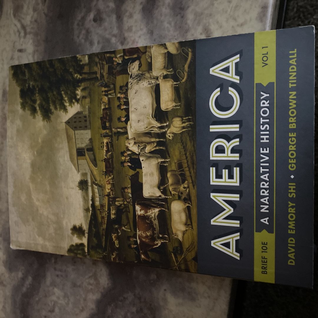 America A Narrative History 