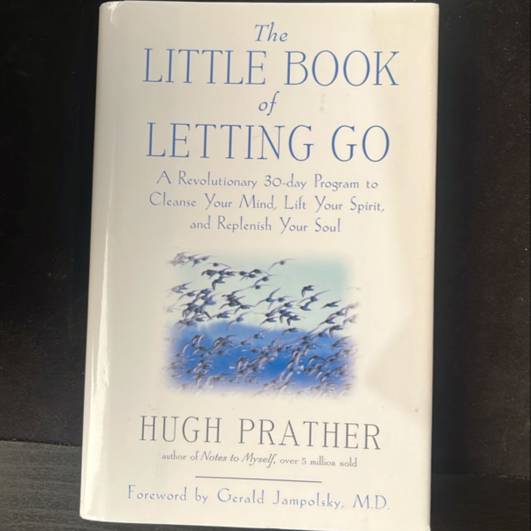 Little Book of Letting Go