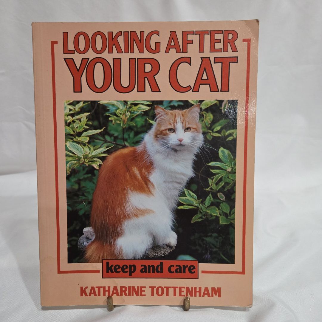 Looking after Your Cat