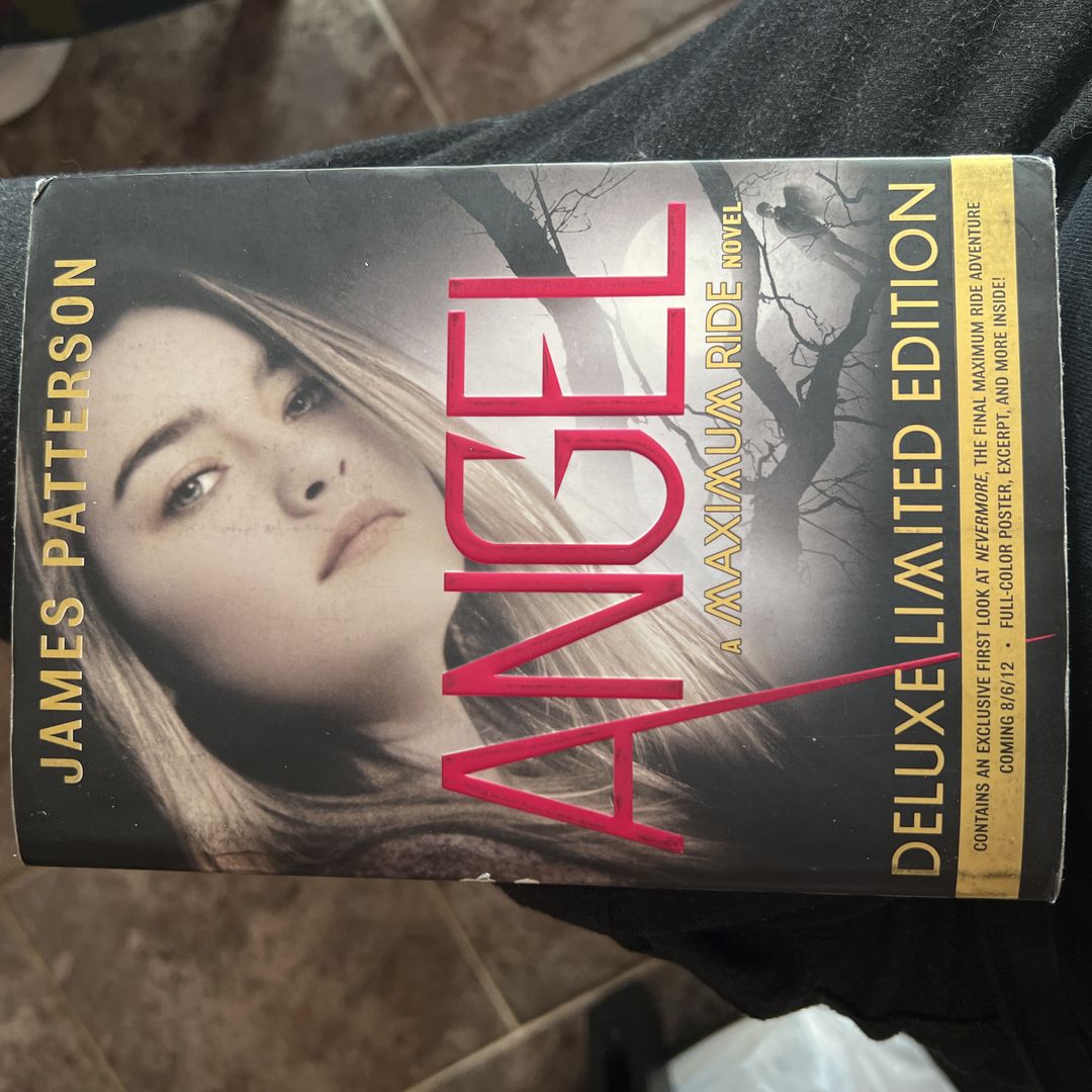 Angel- A Maximum Ride Novel