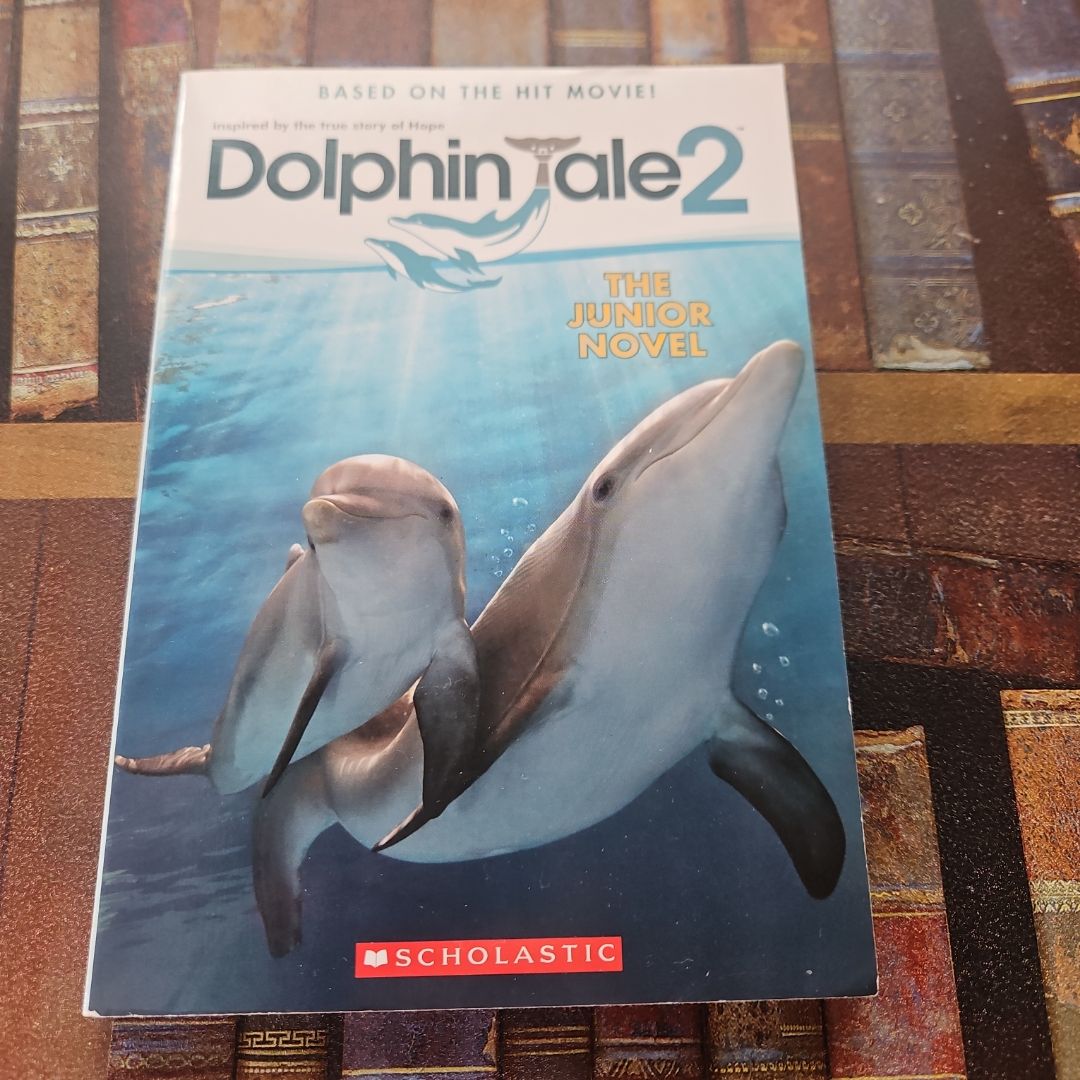 Dolphin Tale 2