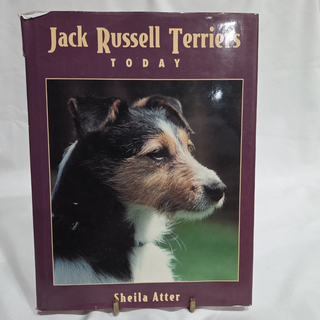 Jack Russell Terriers Today