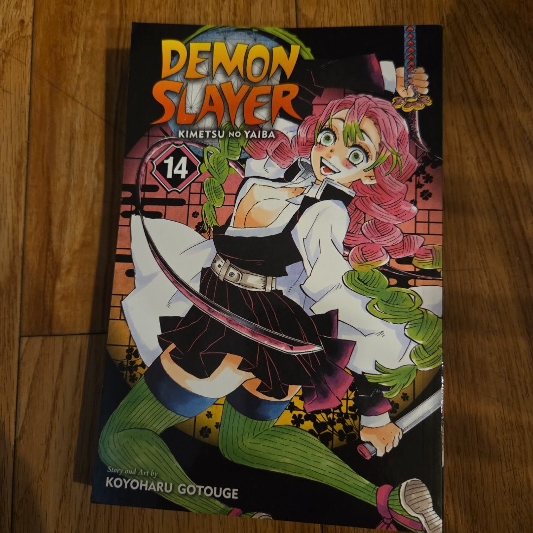 Demon Slayer Complete Box Set