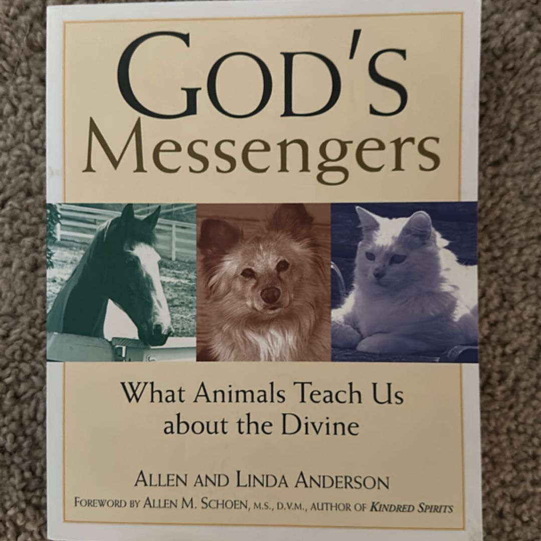 God's Messengers