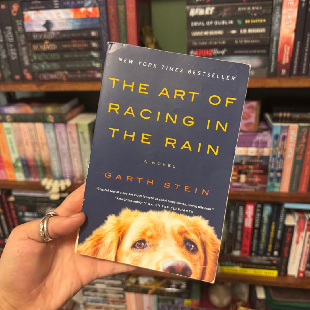 The Art of Racing in the Rain