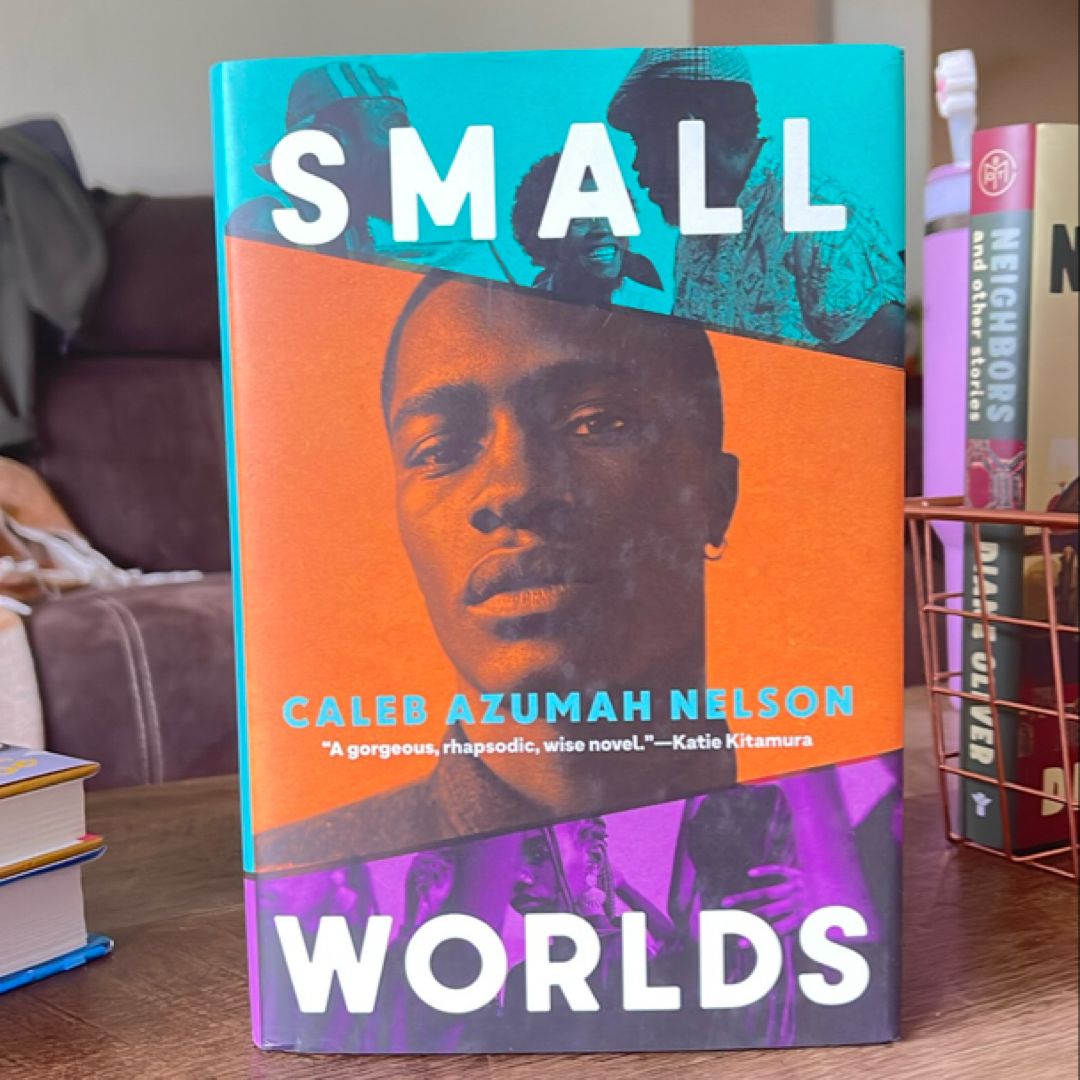 Small Worlds