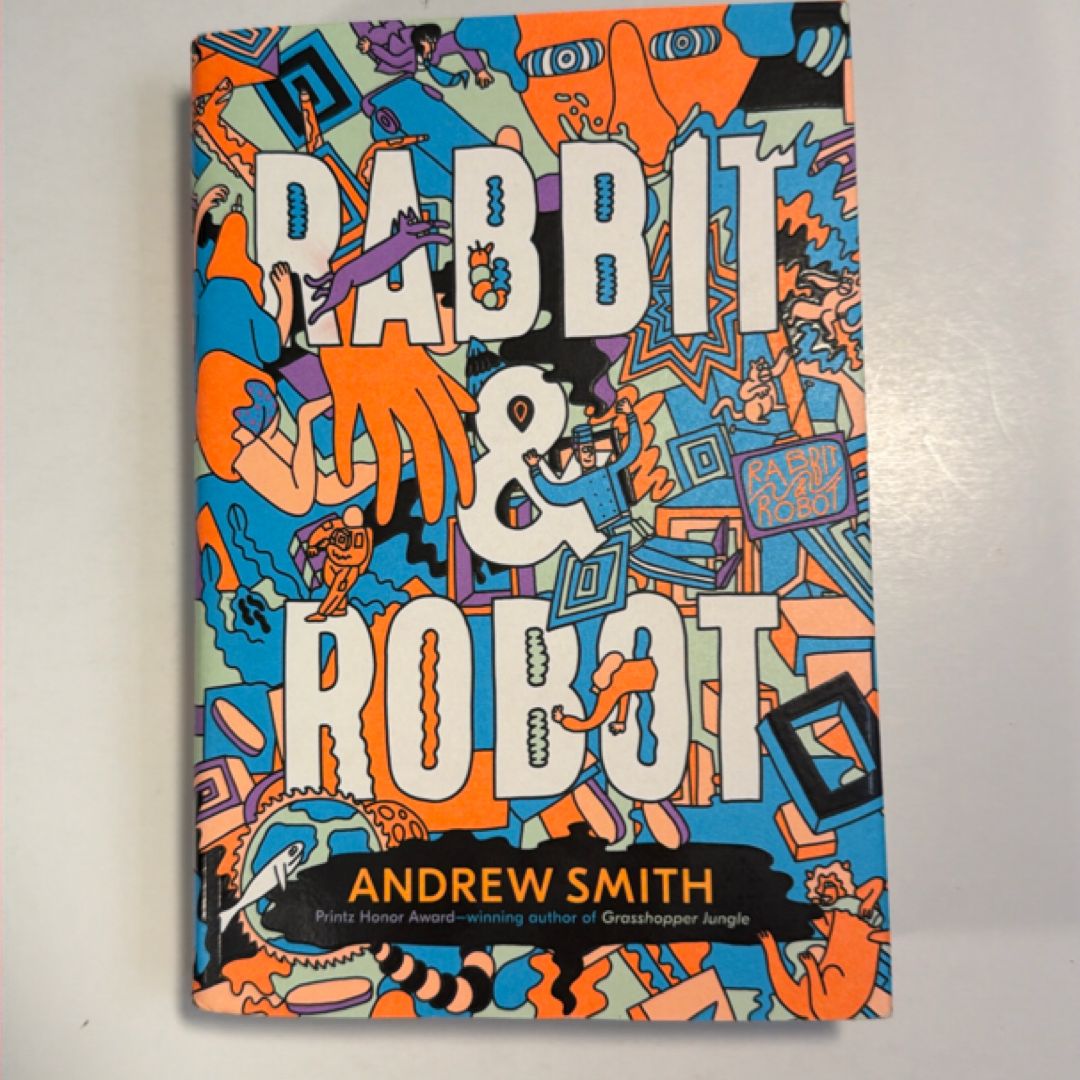 Rabbit and Robot