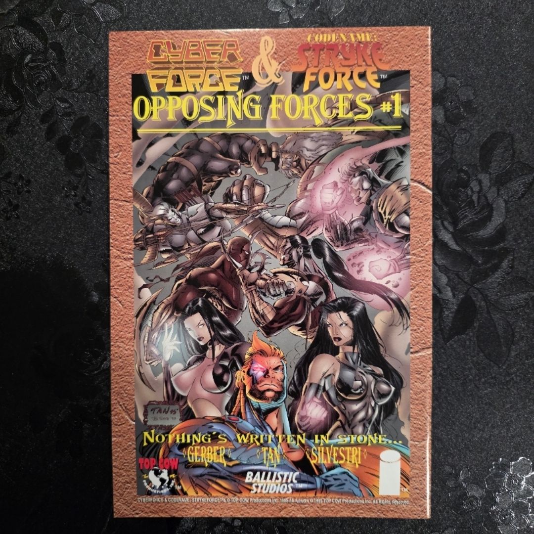 Image Comics Codename: Stryke Force #13 1995 by Image Comics, Paperback ...