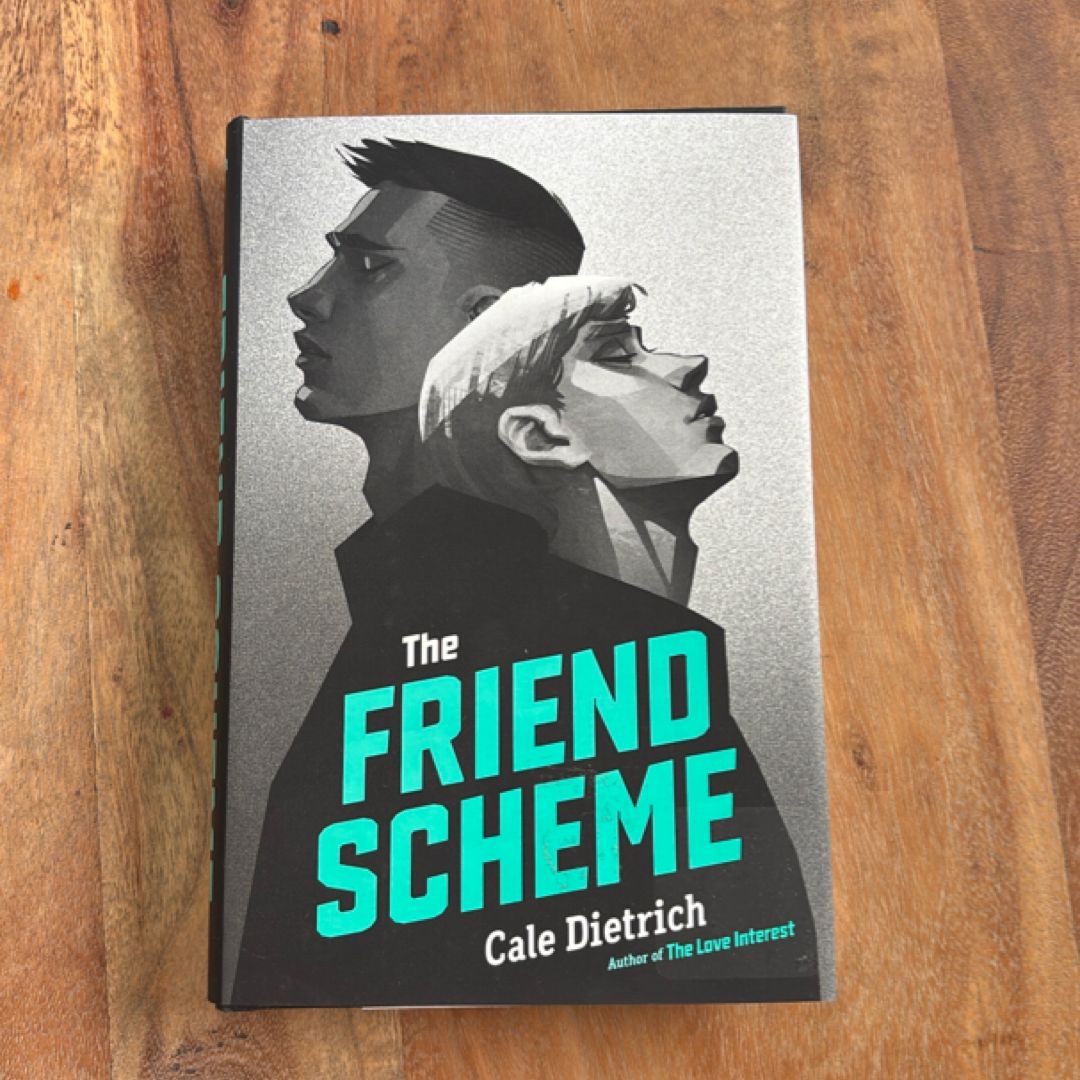 The Friend Scheme
