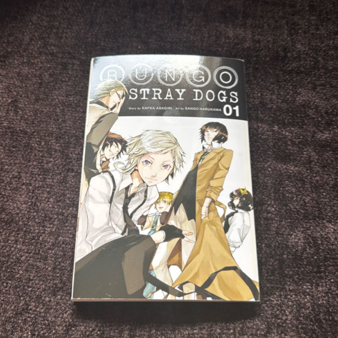 Bungo Stray Dogs, Vol. 1