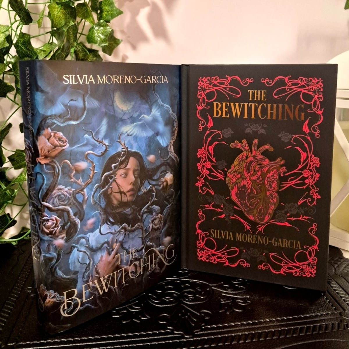 The Bewitching Exclusive- Signed by Silvia | PangoBooks