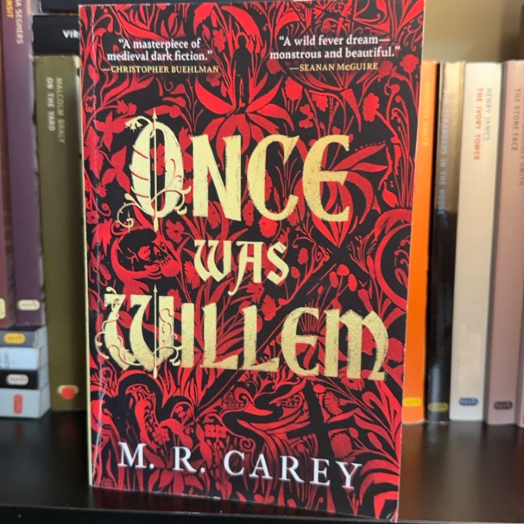 Once Was Willem