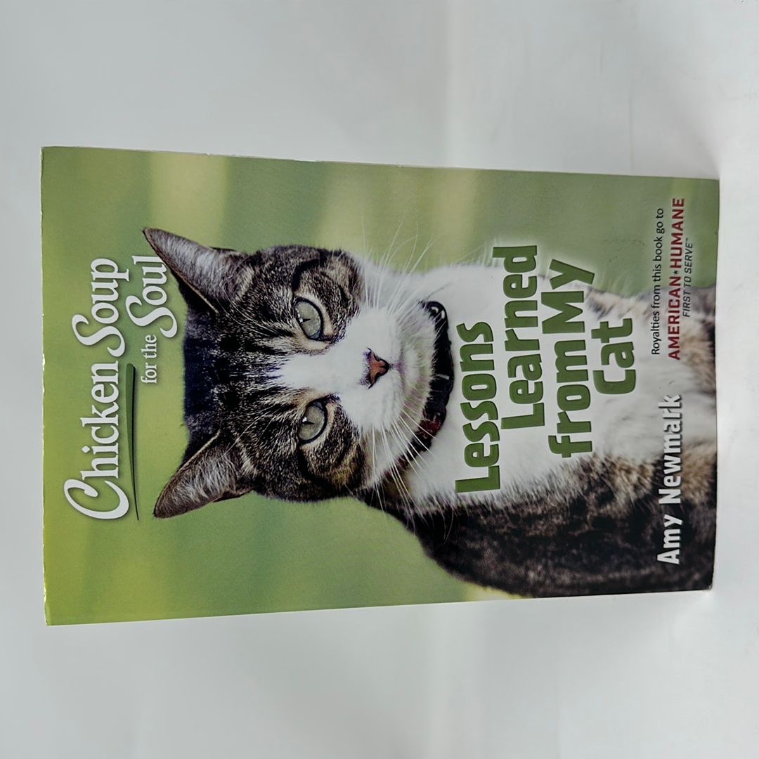 Chicken Soup for the Soul: Lessons Learned from My Cat