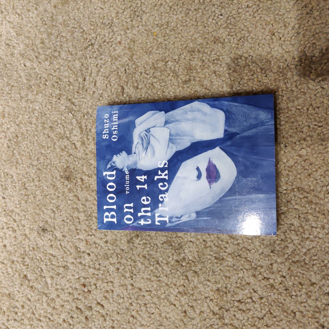 Blood on the Tracks 14