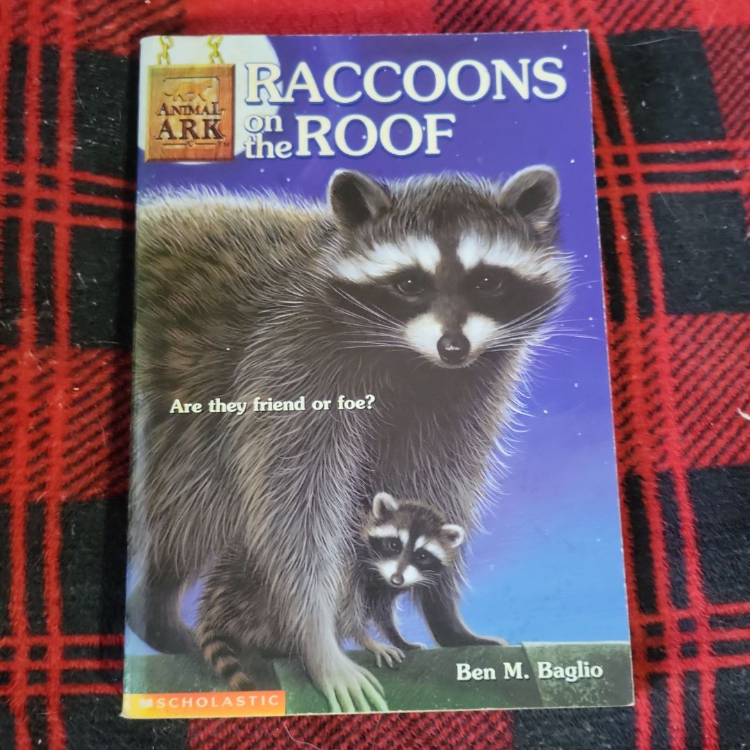 Raccoons on the Roof