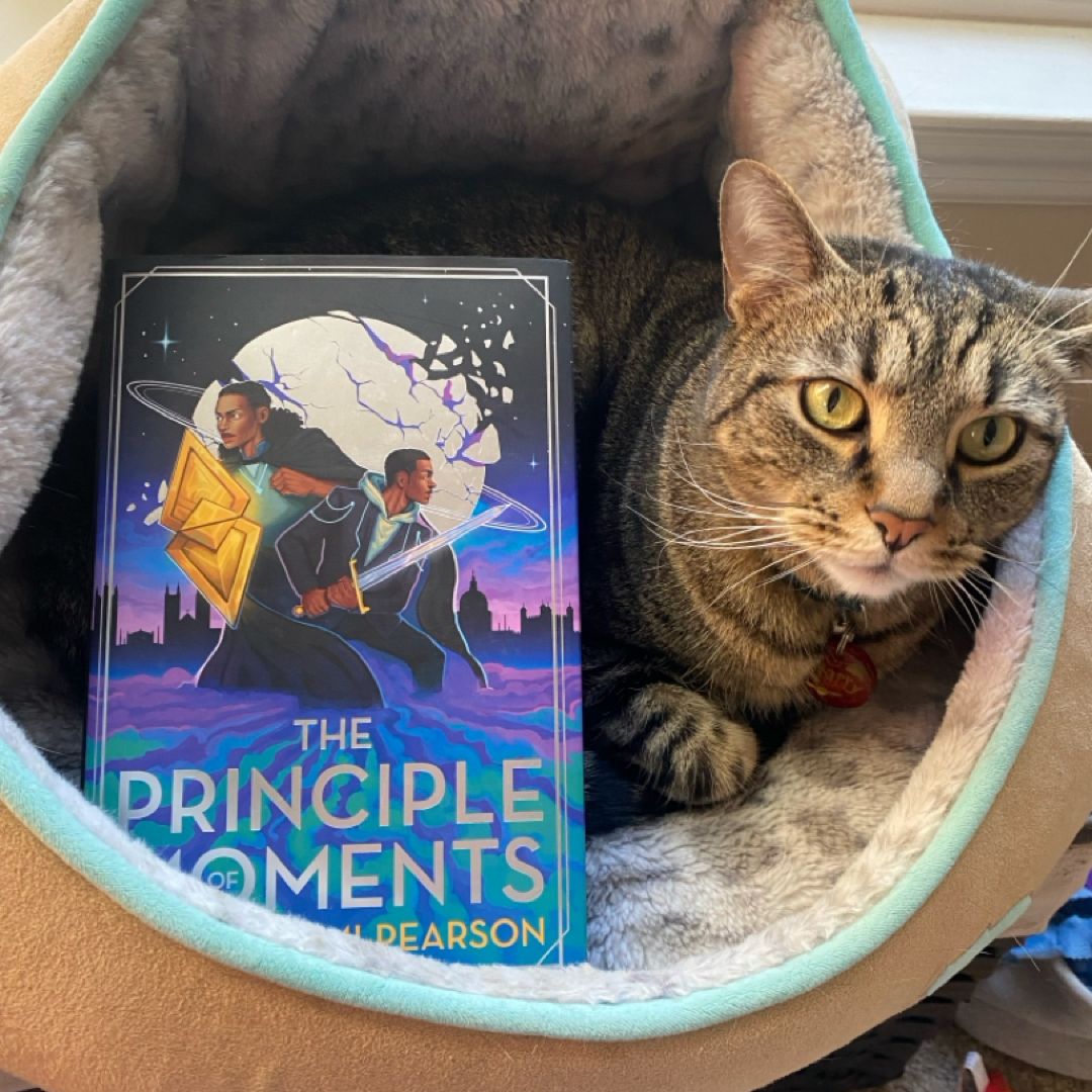 Principle of Moments 