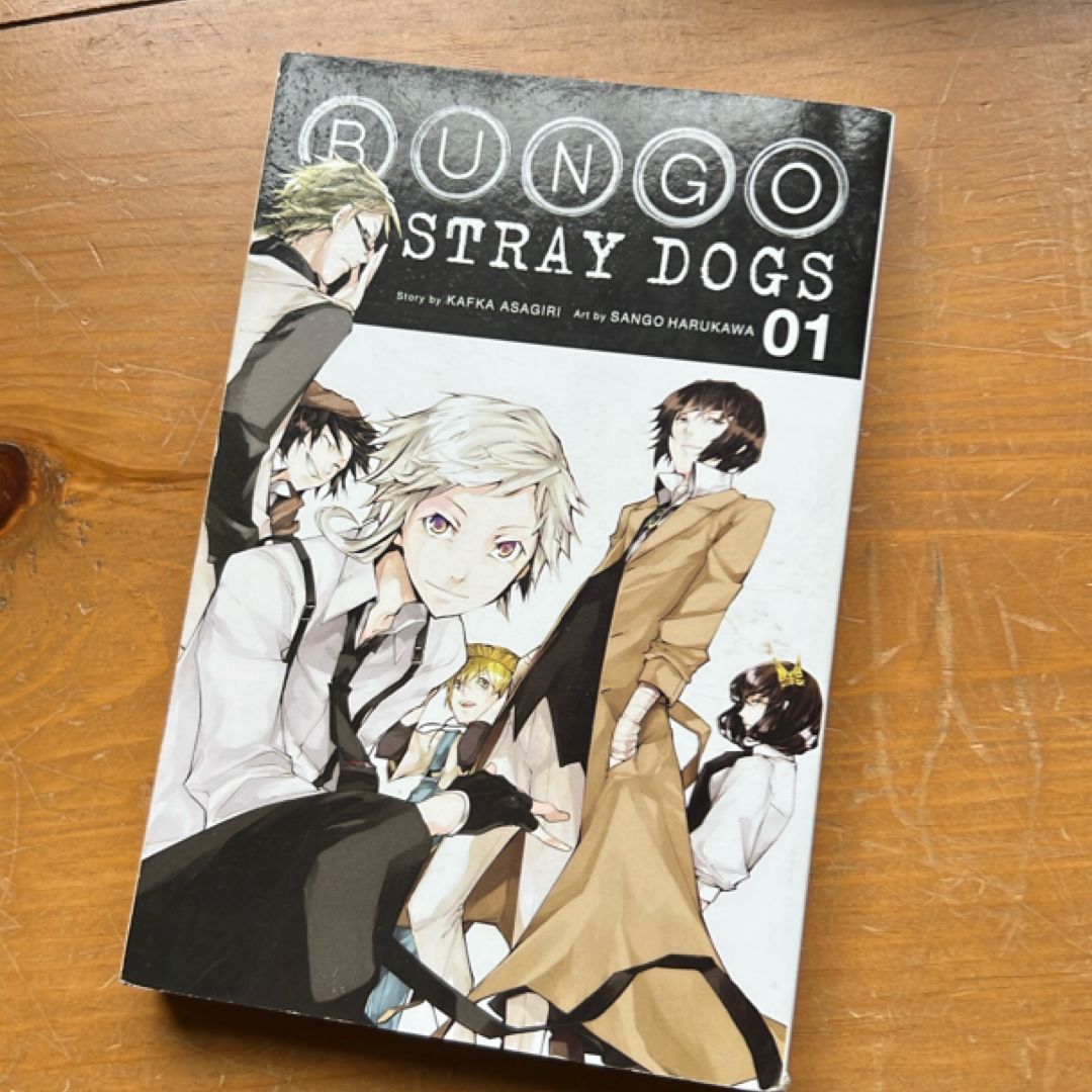 Bungo Stray Dogs, Vol. 1
