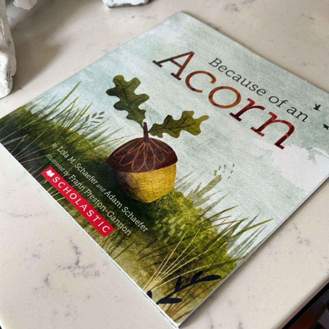 Because of an Acorn by Lola M. Schaefer, Adam Schaefer