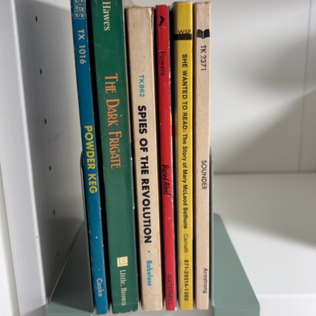 Vintage Juvenile Historical Fiction Bundle (6 books)