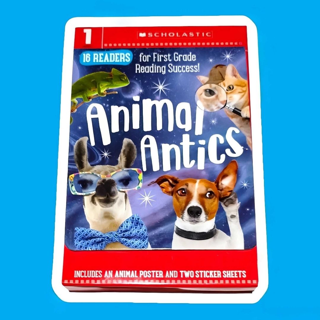 Animal Antics