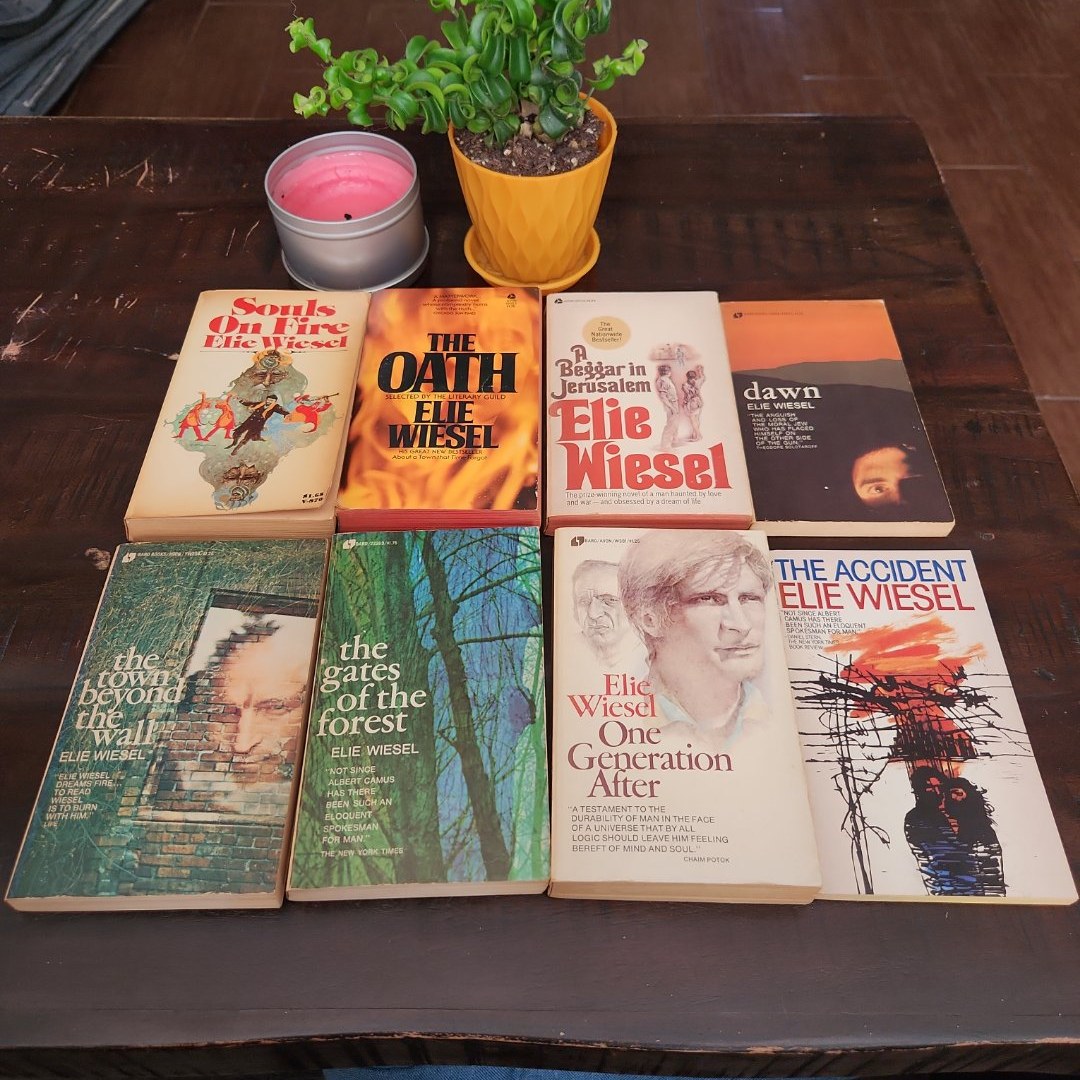 Elie Wiesel book bundle x 8