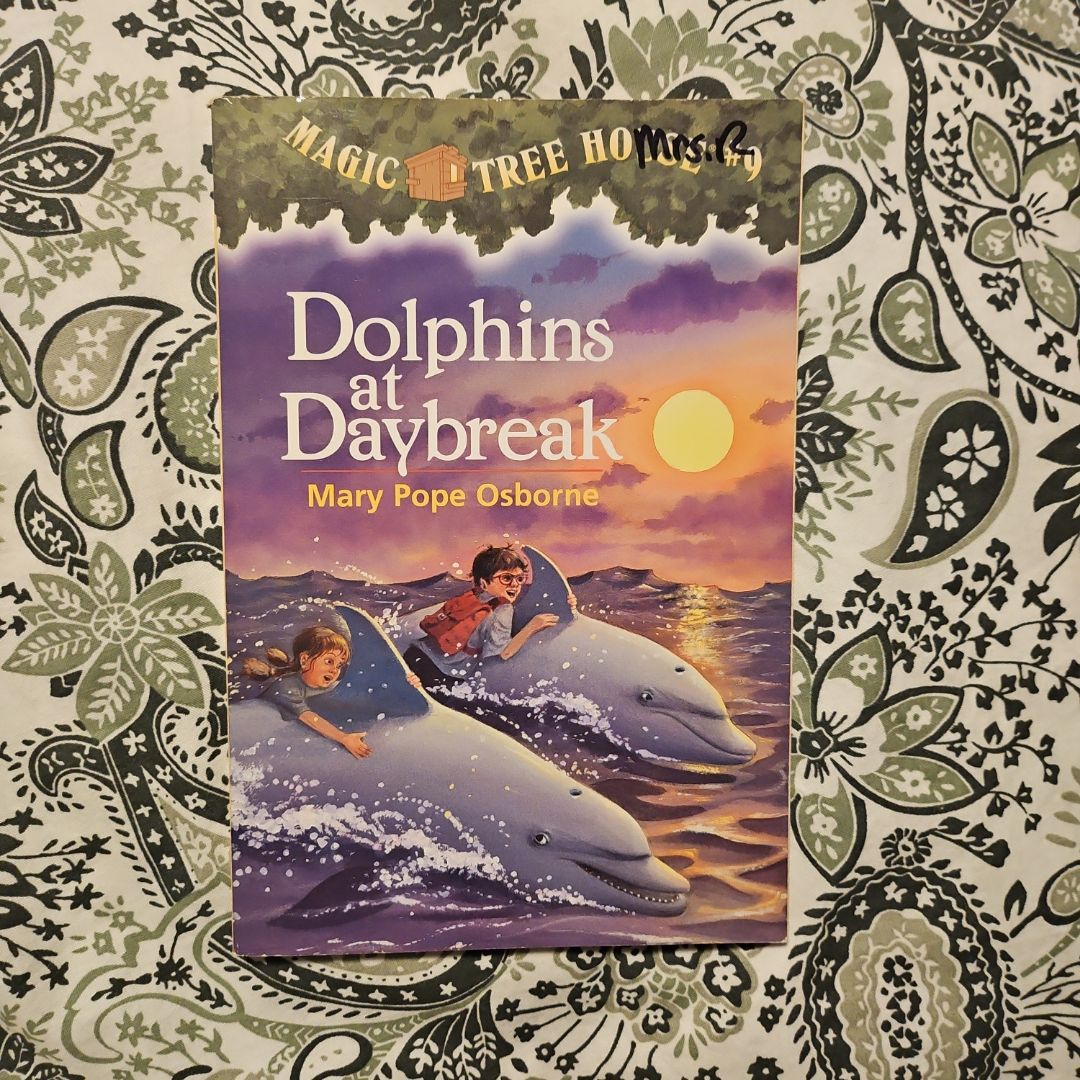 Dolphins at Daybreak