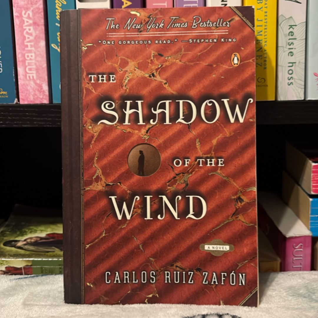 The Shadow of the Wind