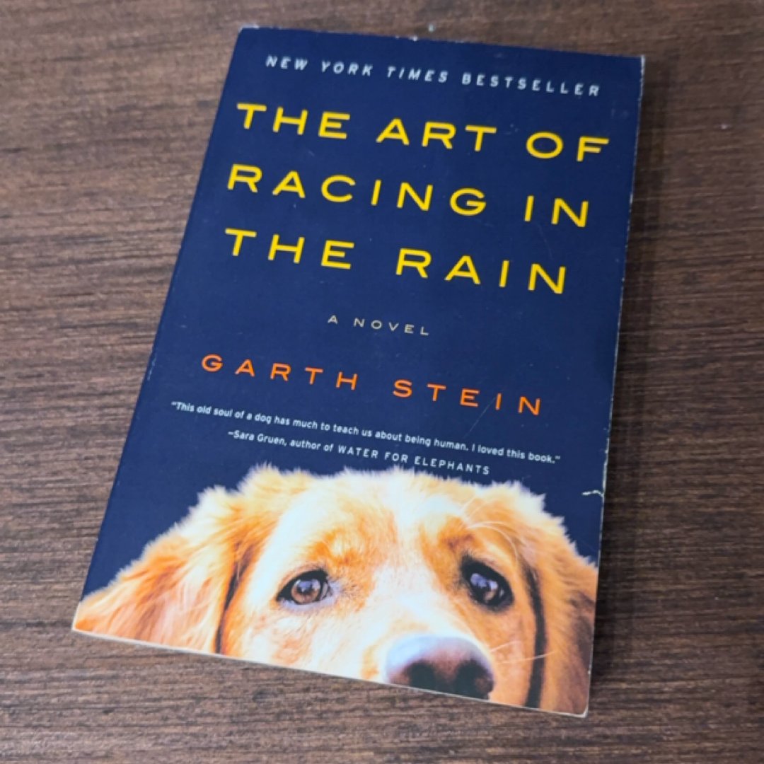 The Art of Racing in the Rain