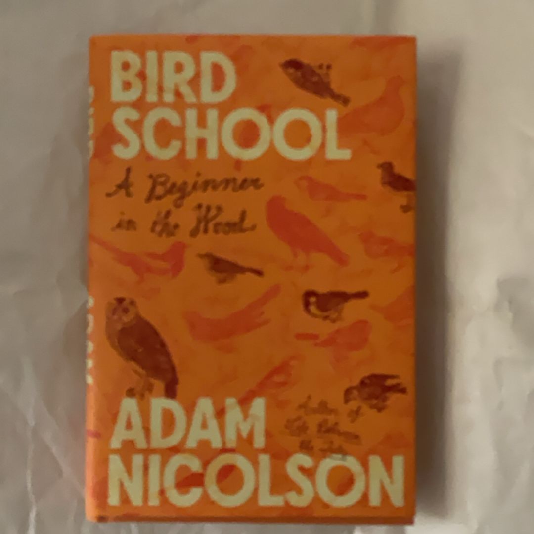 Bird School