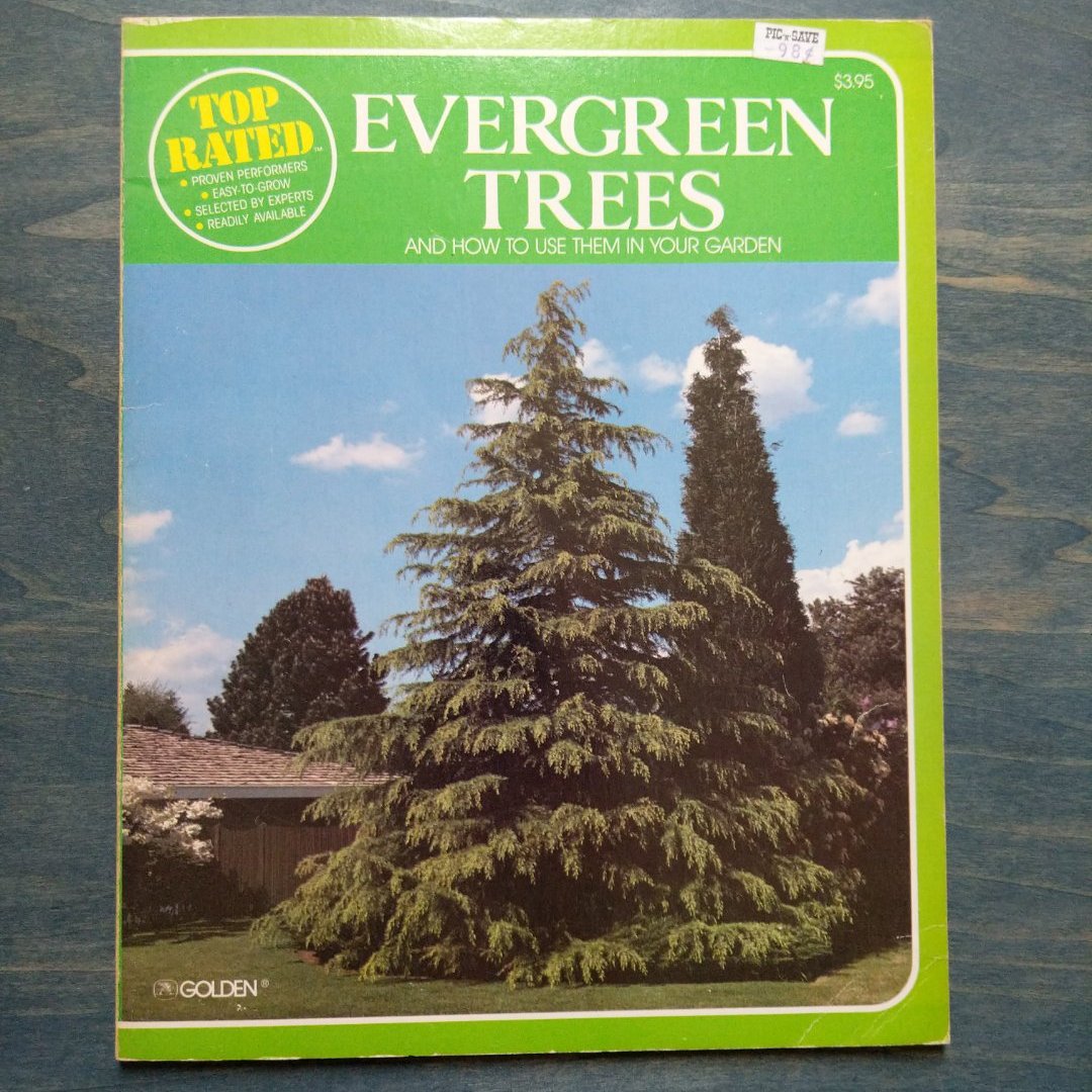 Top Rated Evergreen Trees