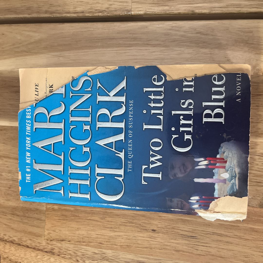 Two Little Girls in Blue 