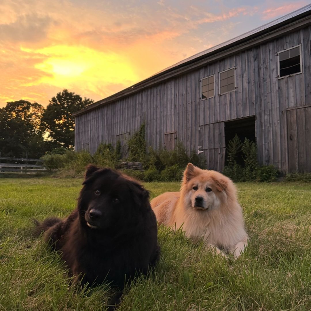 The Farmer’s Almanac